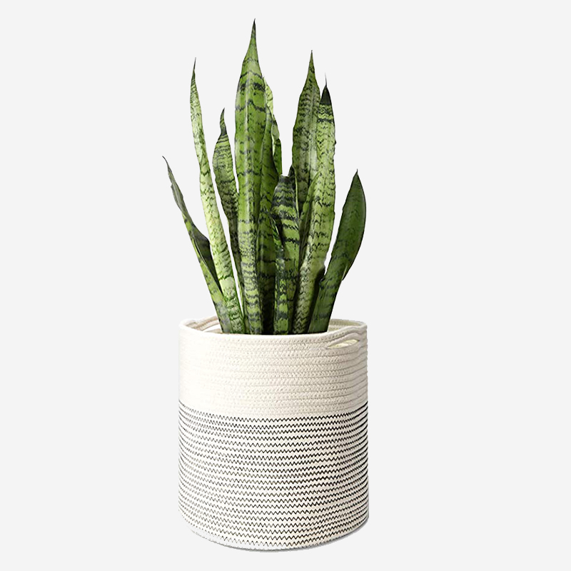 Outdoor Planters Flower Pots - Image 5