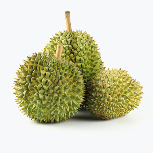 Fresh Durian Live Fruit - Image 3