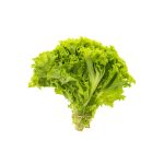 Organic Silk Lettuce